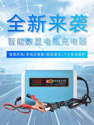 MEHRSTUFENbatterie-Floss-Ladegerät/Versorger LCD-Anzeigen-6V/12V 0.8A/3.8A Smart vollautomatisches
