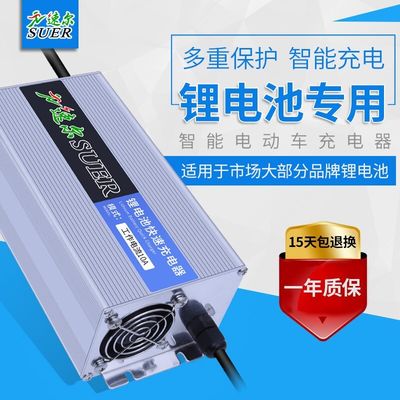 Lithium-Ion Charger Withs LED Constant Current Fireproof-Batterie-24V Indikatoren